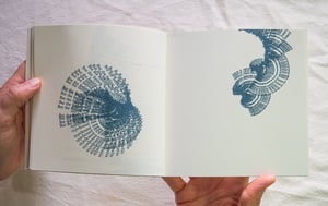 Image of Like things go away by Alyson Provax