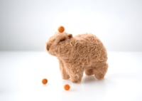Image 3 of baby capybara