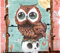 ctue owl