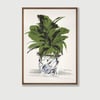 'Garden croton'