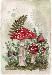 Image 1 of Woodland Botanicals | Fine Art Print 5x7 