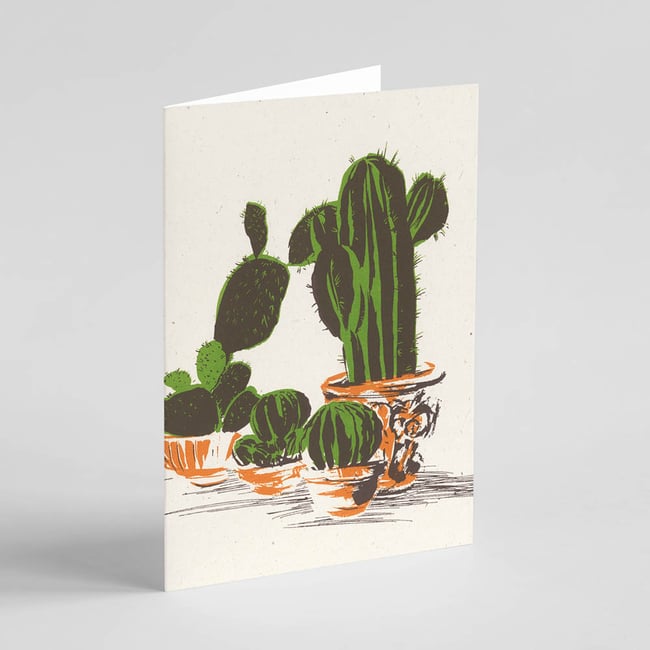'Cactus'