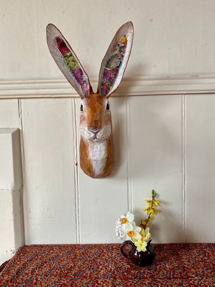 Image of Large Hare, Spring Ears