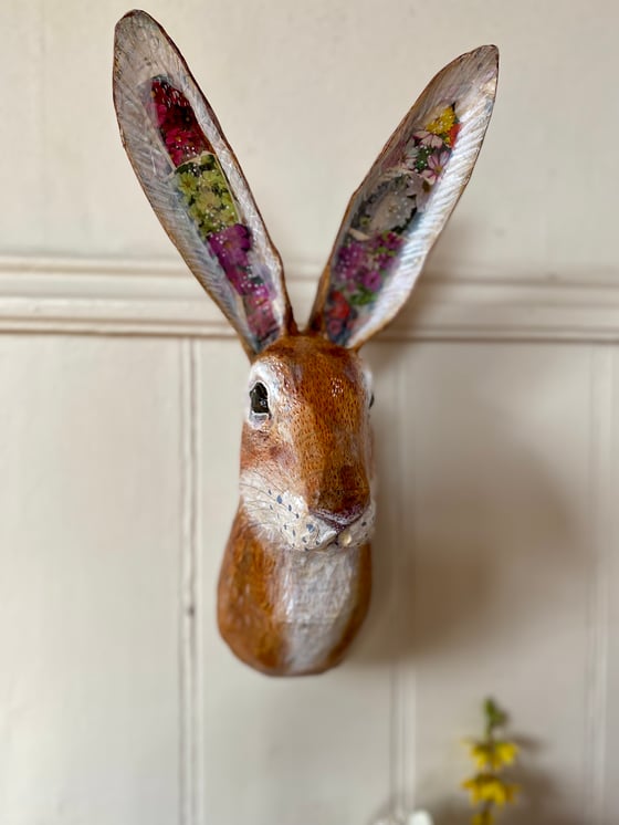 Image of Large Hare, Spring Ears