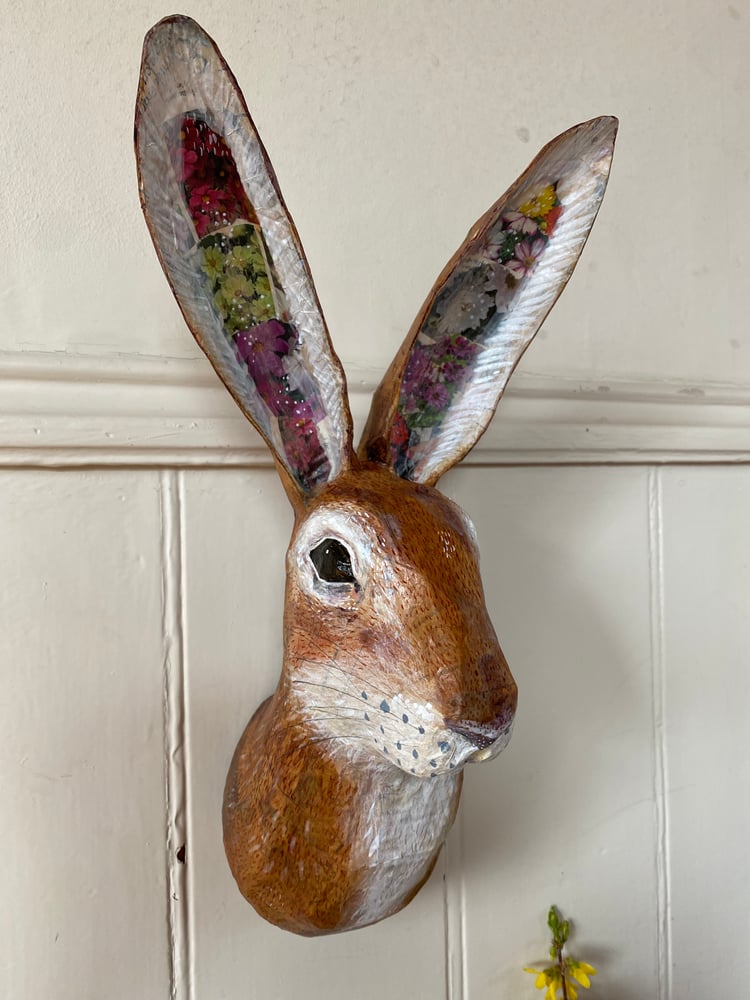 Image of Large Hare, Spring Ears