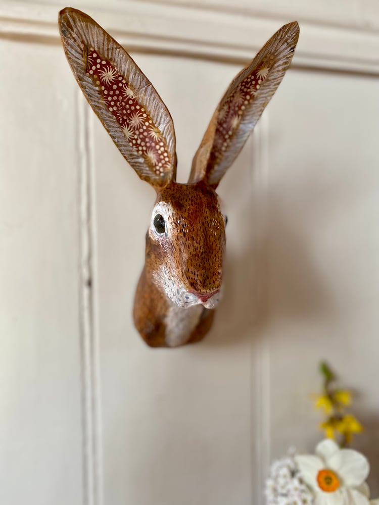 Image of Small Hare, Starry Ears