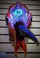 Image 5 of "Kansas Cyclops" Skull