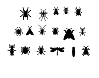 bugs pack