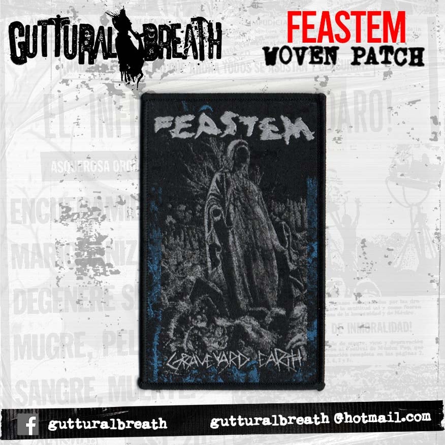 Image of FEASTEM