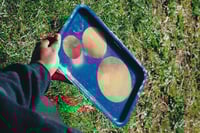 Alien Planet Tray