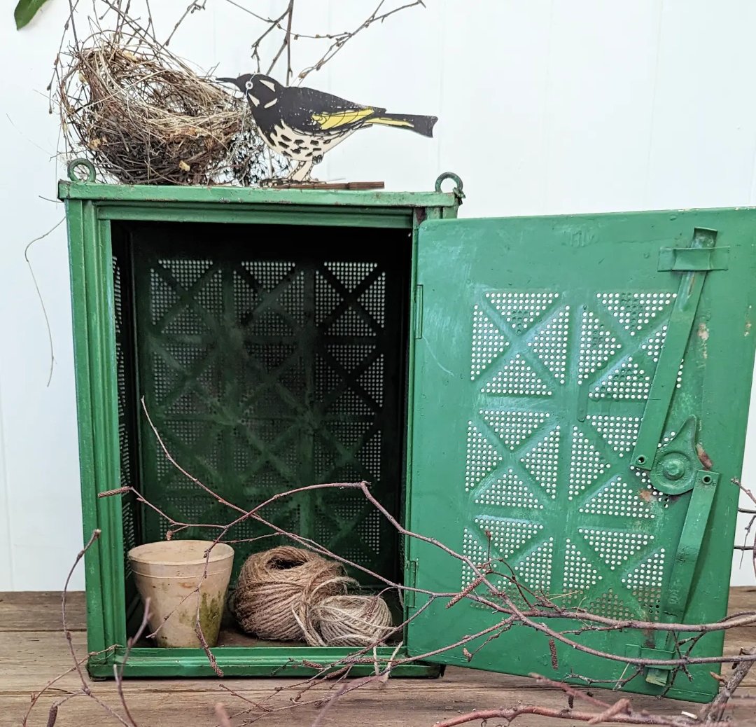 Image of Rustic green meat safe