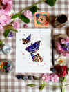 Butterflies - Purple Emperor & Common Blue