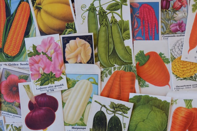 Vintage Seed Packets Pack