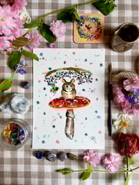 Image 1 of Toadstools Prints A4