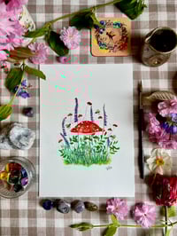 Image 2 of Toadstools Prints A4