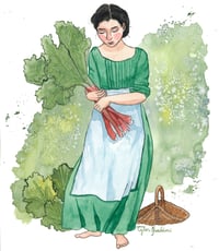 The Rhubarb Harvest