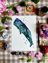 Image 1 of Ocean Animal Prints A4