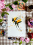 My Iconic Bee's - Plain, Pastel Dreams, Astro & Sunshine Orange.  Image 4