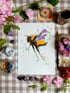 My Iconic Bee's - Plain, Pastel Dreams, Astro & Sunshine Orange.  Image 2