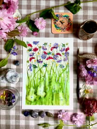 Image 1 of Various Botanical Prints A4