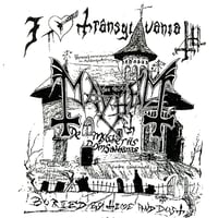 Image 1 of Mayhem  " I Love Translyvania "  Flag / Banner / Tapestry /