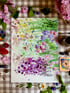 Florals - Wildflowers, Peony & Bees, Florist Bench, Peony Wallpaper, Poppies & Dragonflies Image 3