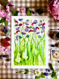 Image 1 of Various Botanical Prints A3