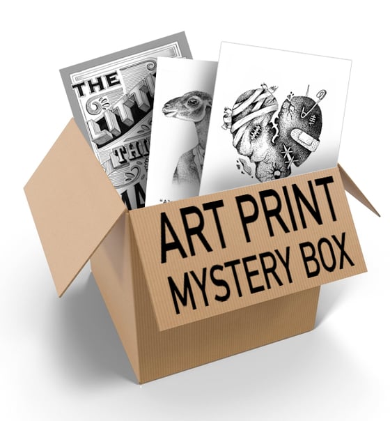 Image of The Art Print Mystery Box