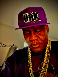 Image 1 of Suede Unk Snapback