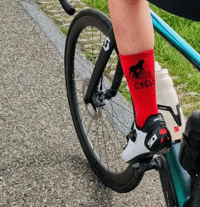 Image 1 of Cool Cat Cycles Socks 