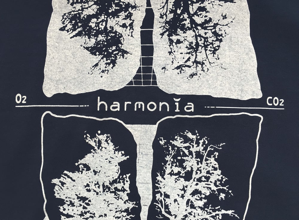 Image of Harmonia NW  algodón orgánico F