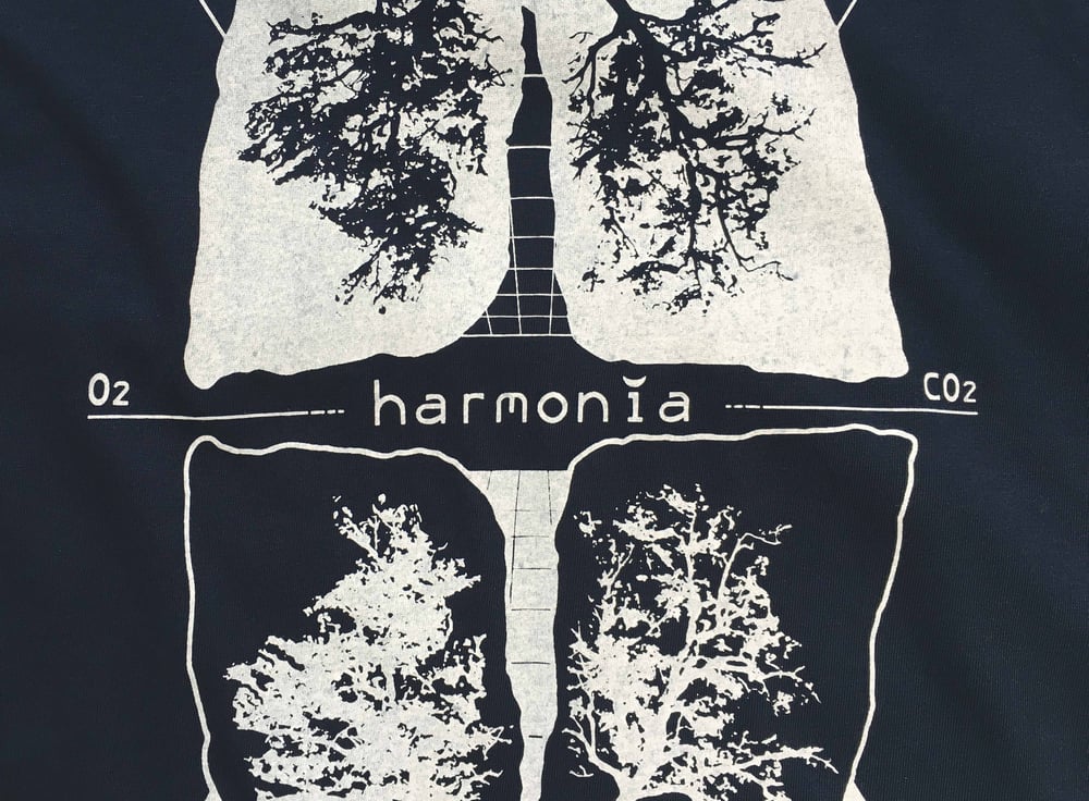 Image of Harmonia NW  algodón orgánico M