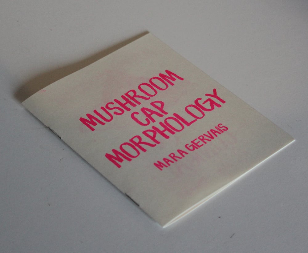 Image of MUSHROOM CAP MORPHOLOGY