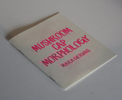 Image of MUSHROOM CAP MORPHOLOGY