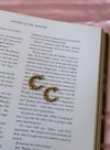 clara twisted hoops