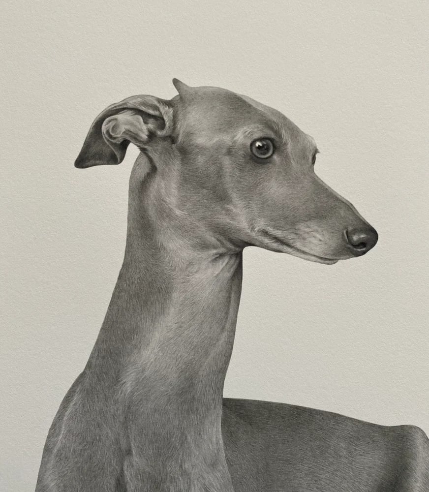 Image of Vinegar Tom (A3)