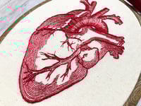 Image 5 of Red Anatomical Heart 5x7" Embroidery Hoop