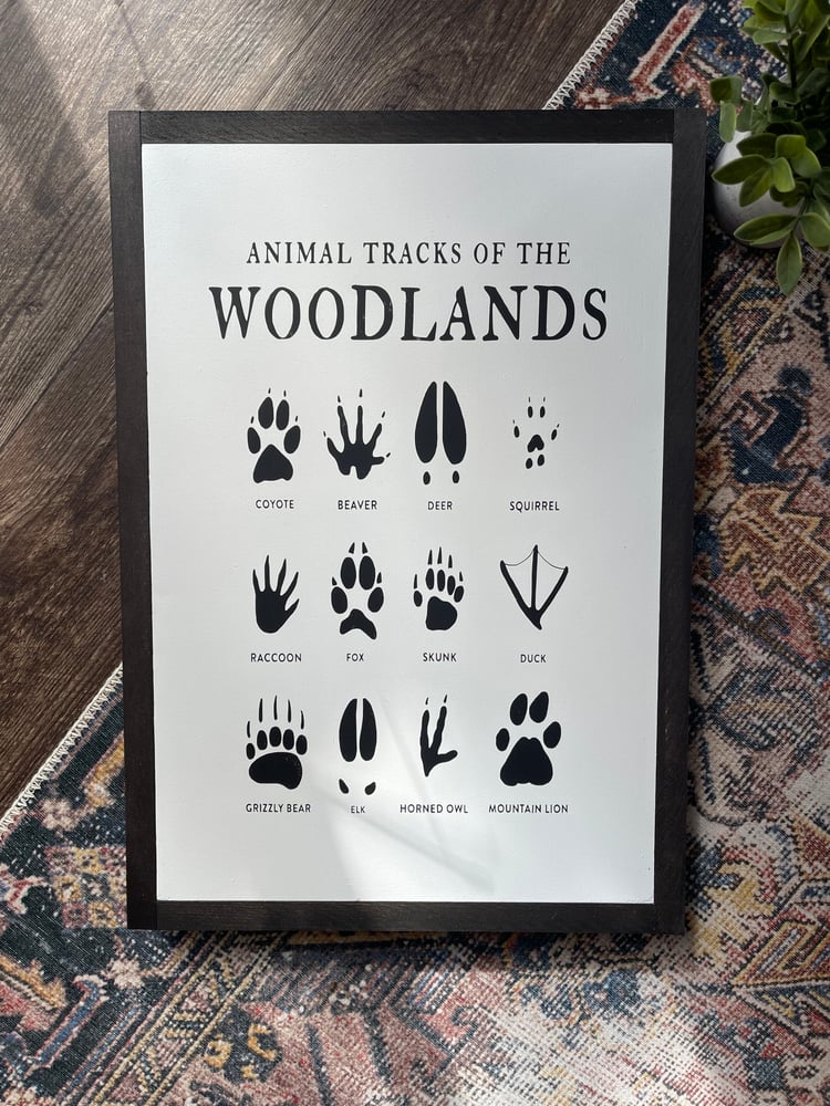 Image of Woodland Animals