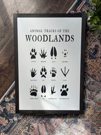 Image 1 of Woodland Animals