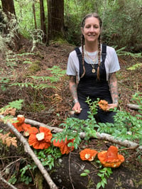 Image 2 of Lobster Mushrooms for Natural Dying of Fabrics