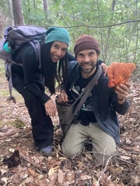 Image 6 of Mendocino Guided Mushroom Hunt