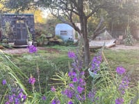 Image 4 of Dunes Shala Glamping