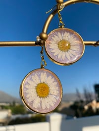 Image 2 of Imperfectly Perfect Gold Plated Earrings. Pink Pearl Resin w/ Real Flowers. Daisy