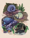 snails print