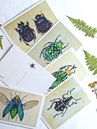 Image 2 of Entomology Postcard Set