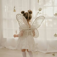 Image 1 of Daisy - Large