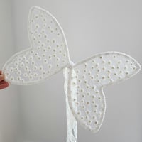 Daisy - Medium