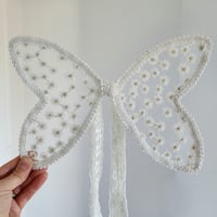Daisy - small