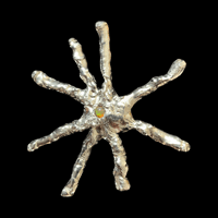 Image 2 of STARFISH EARRINGS