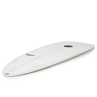 Image 2 of Maluku Flying Frog White